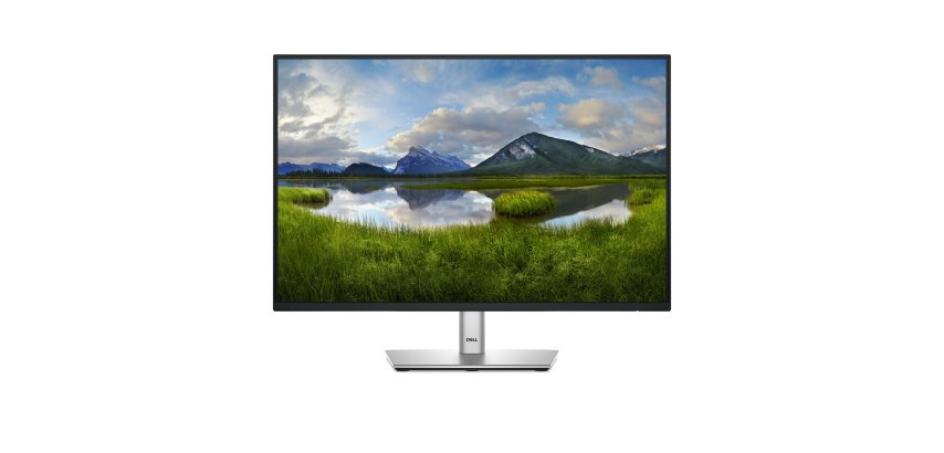 DELL Pro Plus P2425E computer monitor 61.1 cm (24.1") 1920 x 1200 pixels WUXGA LCD Black