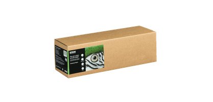 Epson C13S450270NQ papier rouleau 15 m 43,2 cm