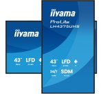 iiyama LH4375UHS-B2AG Écran d'affichage dynamique Écran plat de signalisation numérique 108 cm (42.5") LCD Wifi 500 cd/m² 4K Ultra HD Noir Intégré dans le processeur Android 11 24/7