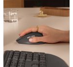 Logitech Signature Comfort Plus M850 L souris Universel Droitier RF sans fil + Bluetooth Optique 4000 DPI