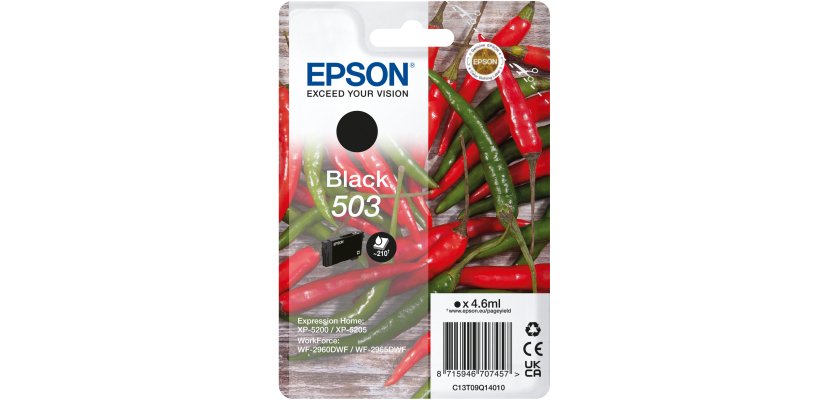 Epson Singlepack Black 503 Ink