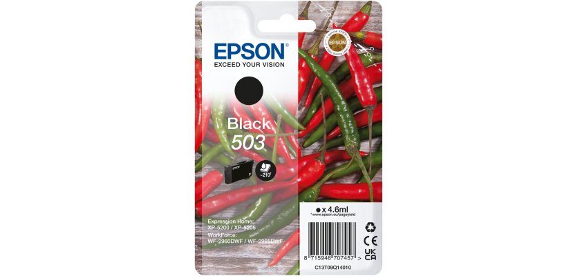Epson Singlepack Black 503 Ink