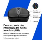 HP Souris sans fil rechargeable 705
