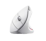 Trust Verto mouse Office Right-hand RF Wireless Optical 1600 DPI