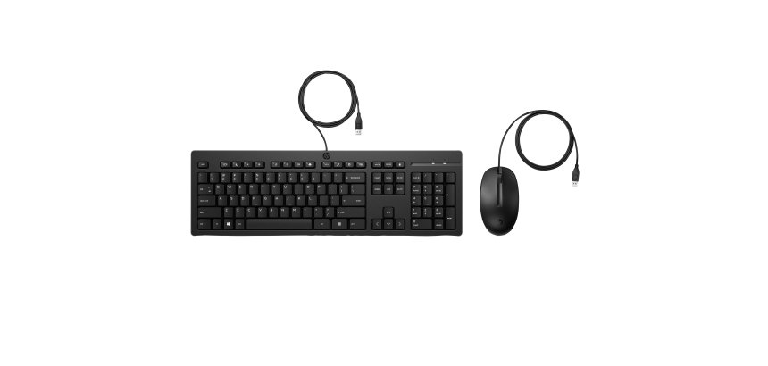 HP INC. clavier Souris incluse Bureau USB Noir