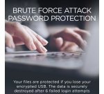 Integral INFD32GCOU3.0-197 lecteur USB flash 32 Go USB Type-A 3.2 Gen 1 (3.1 Gen 1) Bleu, Argent