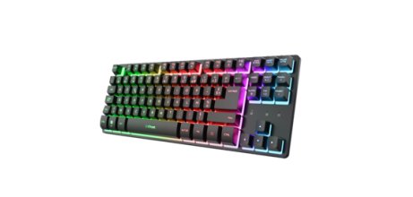 Trust Gaming GXT 831 Thado TKL clavier FR sans fil +USB AZERTY Français Noir