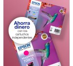 Epson T0801  (C13T08014011) Cartucho original negro de capacidad estándar (330 páginas)