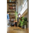 Hoover H-ENERGY 700 HE720PET 011 6 L A cilindro Secco 850 W Sacchetto per la polvere