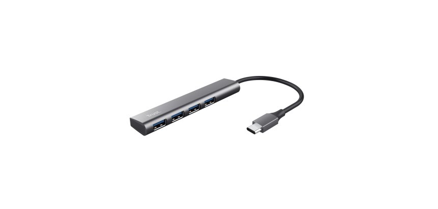 Trust Halyx USB 3.2 Gen 1 (3.1 Gen 1) Type-A 5 Mbit/s Gris