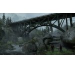 Sony Interactive Entertainment The Last of Us Remastered, PS4 English, Italian PlayStation 4