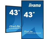iiyama LH4360UHS-B2AG Écran d'affichage dynamique Carte A numérique 108 cm (42.5") LED Wifi 500 cd/m² 4K Ultra HD Noir Intégré dans le processeur Android 11 24/7