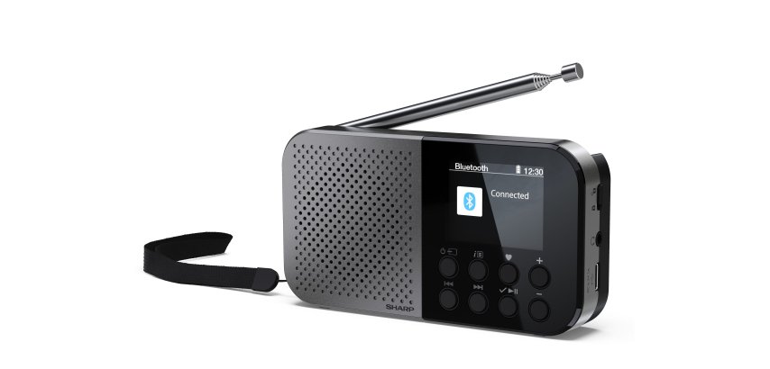 Sharp DR-P520 Personale Digitale Grigio