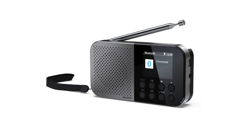 Sharp DR-P520 Personale Digitale Grigio