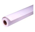 Epson Pap Photo Premium Glacé (250) 16" (0,406x30,5m)