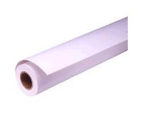 Epson Pap Photo Premium Glacé (250) 16" (0,406x30,5m)
