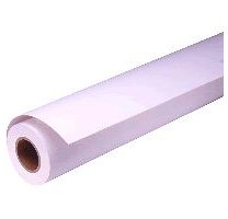 Epson Pap Photo Premium Glacé (250) 16" (0,406x30,5m)