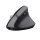 Souris sans fil
