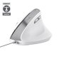 Trust Bayo II souris Bureau Droitier USB Type-A Optique 2400 DPI