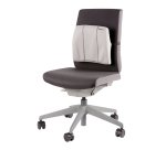 Fellowes Support dorsal fin Gris