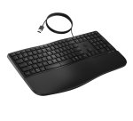 HP 485 CFT WD KBD clavier Bureau USB Noir