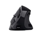 Trust Voxx souris Bureau Droitier RF sans fil + Bluetooth Optique 2400 DPI