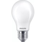 Philips Lampadina smerigliata a filamento 60 W A60 E27