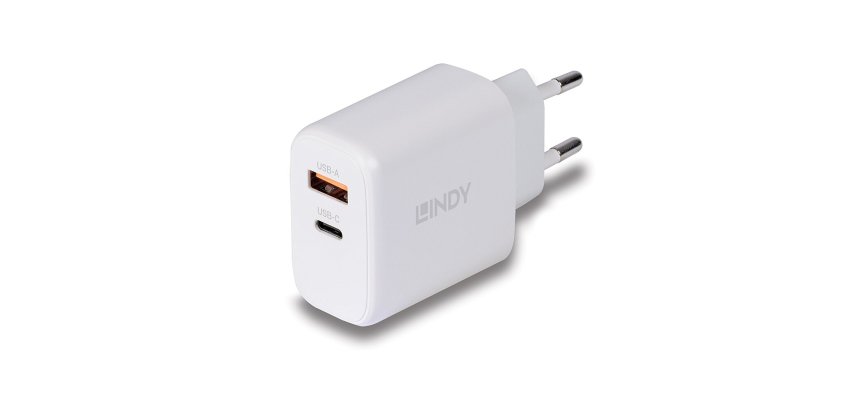 Lindy Chargeur GaN 65W USB Type A & C