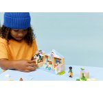LEGO Friends Animal Vet Clinic