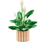 LEGO Botanicals Peace Lily