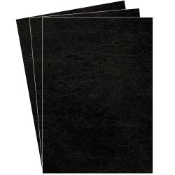 Couverture de reliure Fellowes Delta grain cuir 250 g A4 noir - Boîte de 25