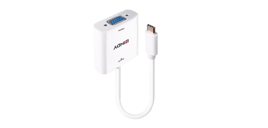 Lindy 43355 cavo e adattatore video USB tipo-C VGA (D-Sub) Bianco