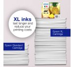 Epson Singlepack Cyan 604XL Ink