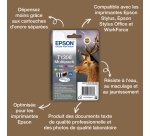 Epson Stag Encre DURABrite Ultra multipack 3 couleurs Cerf T1306