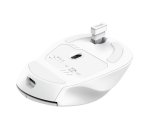 Trust Niven souris Bureau Droitier RF sans fil + Bluetooth 3200 DPI