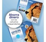 Epson Singlepack Black T0711 DURABrite Ultra Ink