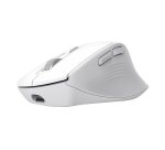 Trust Niven souris Bureau Droitier RF sans fil + Bluetooth 3200 DPI