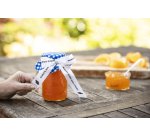Brother TZe-R251 - Band - seidig - 1 Kassette(n) - Rolle (2,4 cm x 4 m)