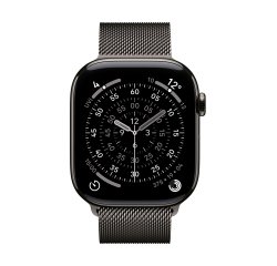 Apple MGJ74ZM/A smart accessory to wear Band Slate color Stainless steel