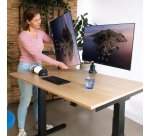 R-Go Tools Bras d'écran R-Go Caparo, pour deux écrans, réglable par vérin à gaz, capacité de charge 3-9 kg, 100% circulaire, noir