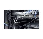 APC NetShelter - Organisateur câbles vertical - Rack - 8 anneaux - 0U