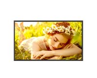LG 32UL5Q-M Signage Display Digital signage flat panel 81.3 cm (32") LCD Wi-Fi 500 cd/m² 4K Ultra HD Black WebOS 24/7