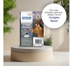 Epson Stag Encre DURABrite Ultra multipack 3 couleurs Cerf T1306