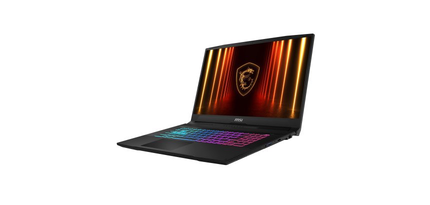 MSI Katana 17 HX B14WFK-006FR Intel® Core™ i7 i7-14650HX Ordinateur portable 43,9 cm (17.3") Quad HD 32 Go DDR5-SDRAM 1 To SSD NVIDIA GeForce RTX 5060 Wi-Fi 6E (802.11ax) Windows 11 Pro Français Noir
