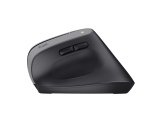 Trust Bayo+ souris Bureau Droitier RF sans fil + Bluetooth Optique 2400 DPI