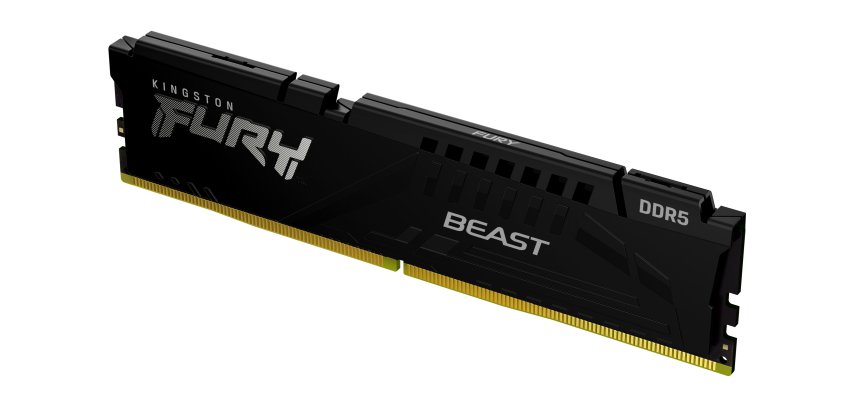 Kingston Technology FURY Beast 16 Go 6000 MT/s DDR5 CL30 DIMM Black EXPO