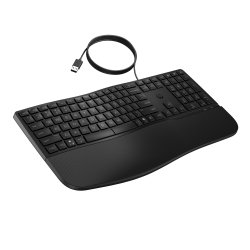 HP 485 CFT WD KBD clavier Bureau USB Noir