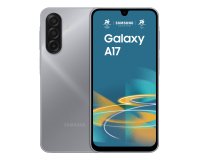 Samsung Galaxy A17 17 cm (6.7") Hybrid Dual SIM 4G USB Type-C 8 GB 256 GB 5000 mAh Grey