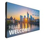 Philips 55BDL3305X LCD Interior