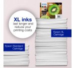 Epson Kiwi Singlepack Black 202 Claria Premium Ink